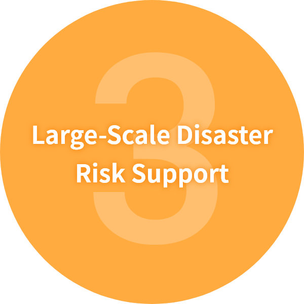Large-Scale Disaster Risk Support