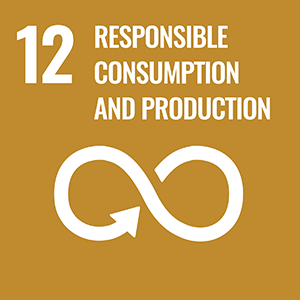 SDGs12 Responsible Consumption and Production