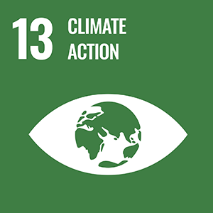 SDGs13 Climate Action