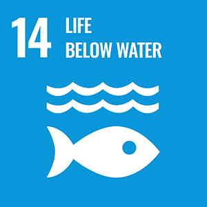 SDGs 14 Life Below Water