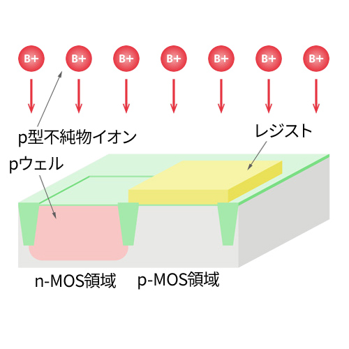 pウェル