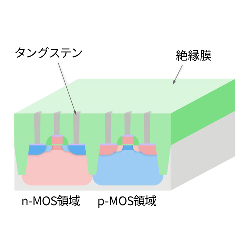 Plug-tungsten polishing