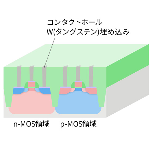 コンタクトホール