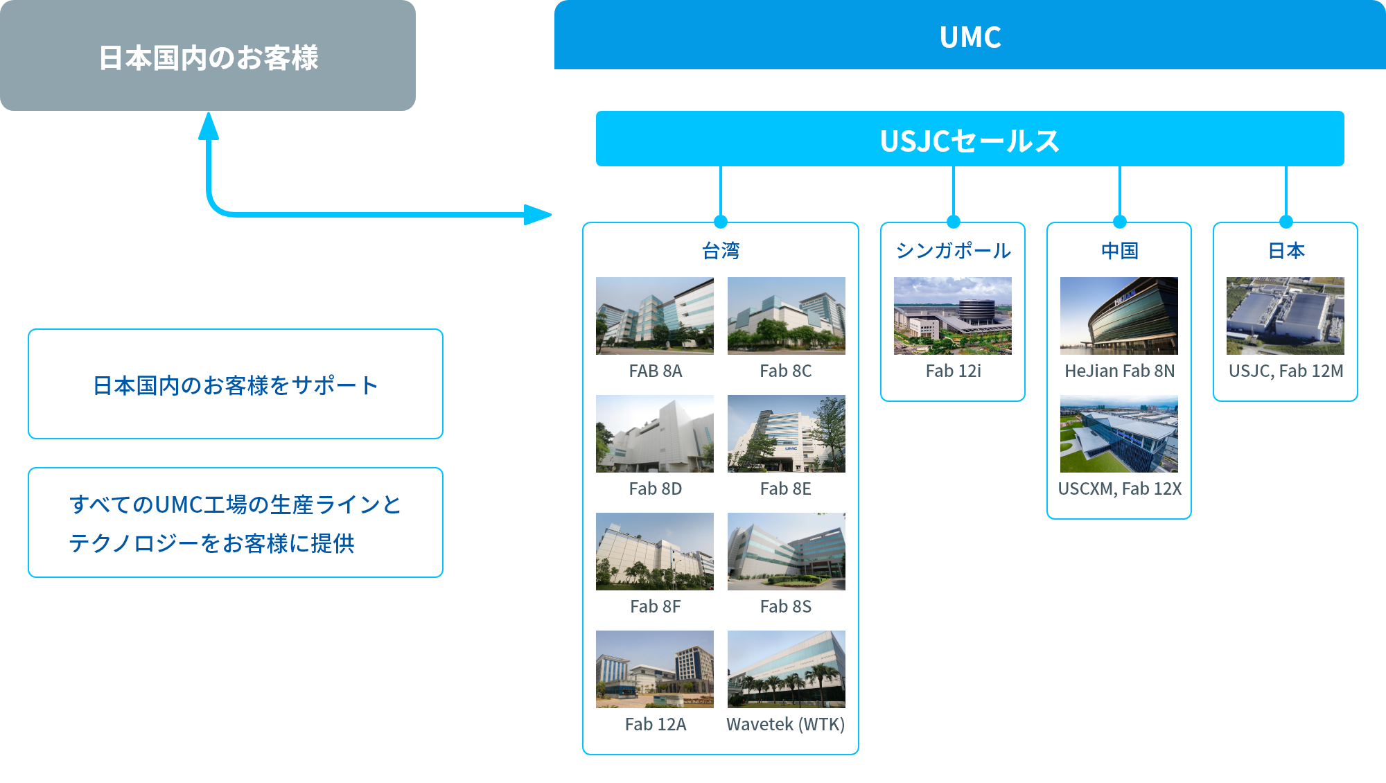 国内セールス