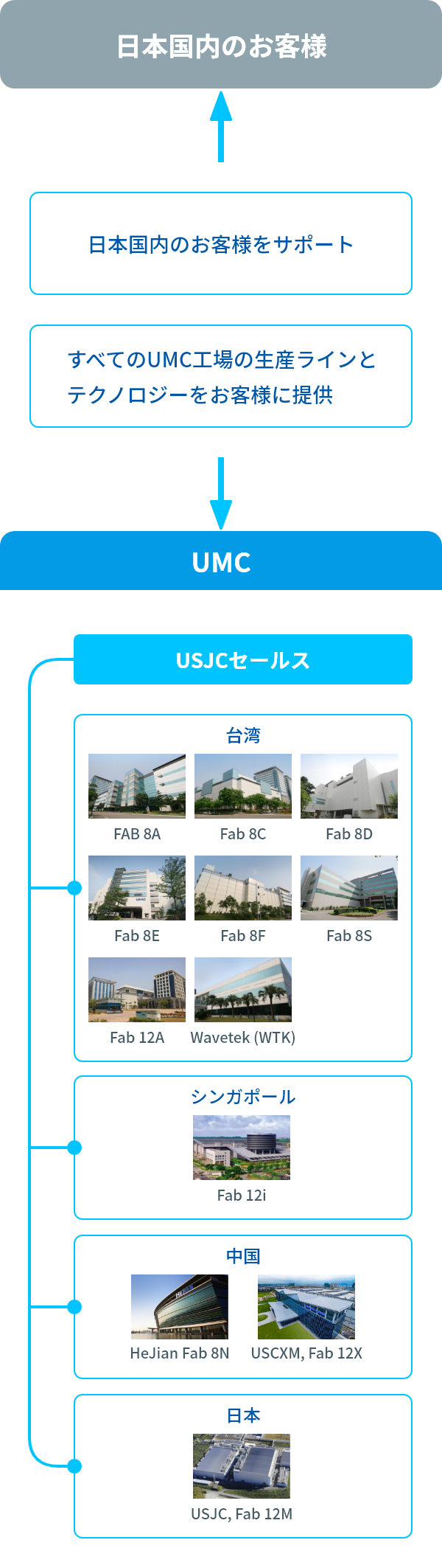 国内セールス