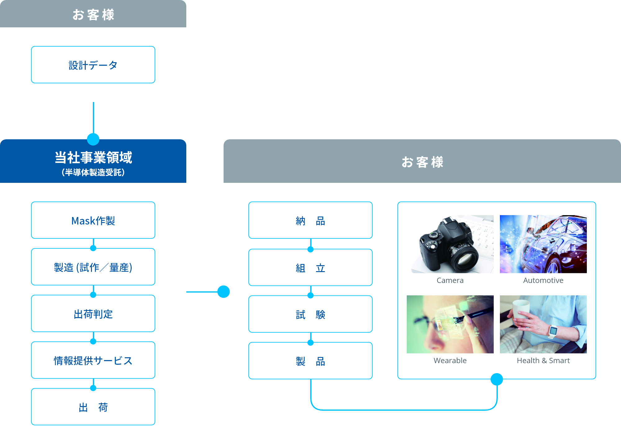 事業領域