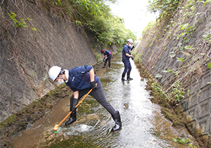 奥大杉谷川清掃