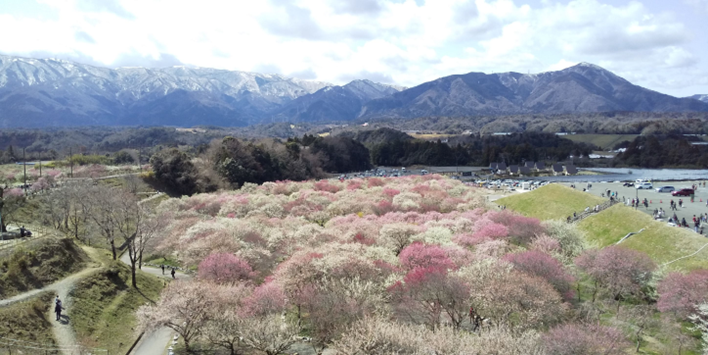 生物多様性写真展