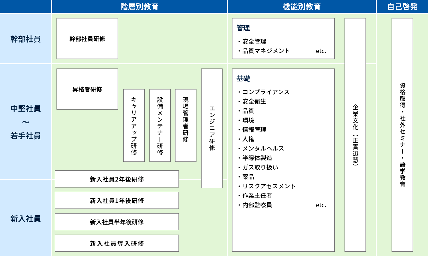 教育体系